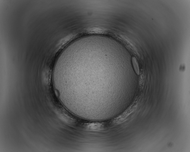 X0000100330168200806191116