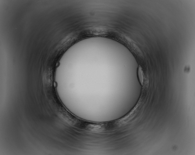 X0000100330170200806191116