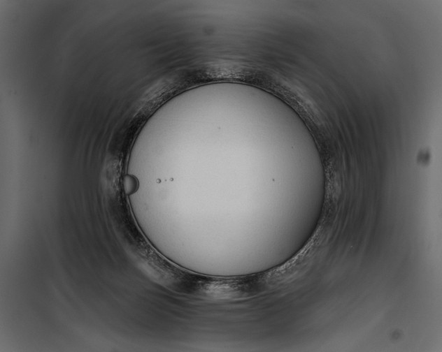 X0000100330171200806191116