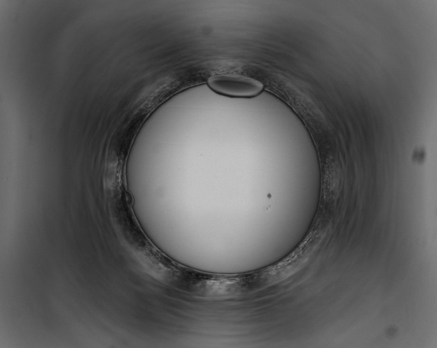 X0000100330172200806191116