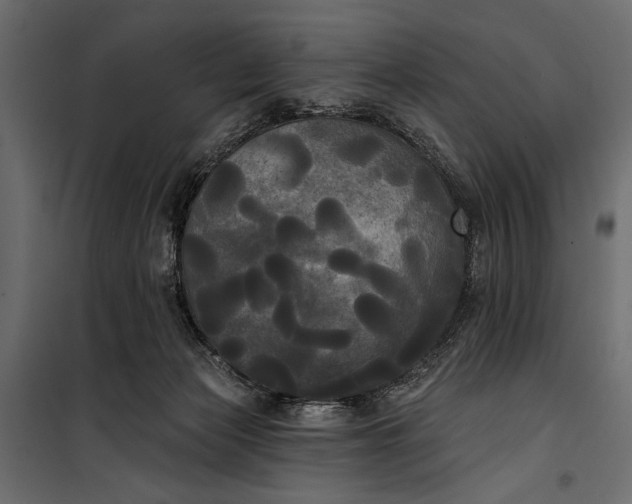 X0000100330173200806191117