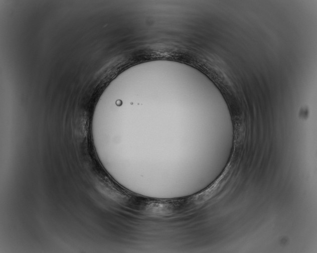 X0000100330174200806191117