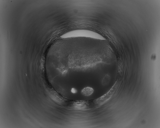 X0000100330175200806191117