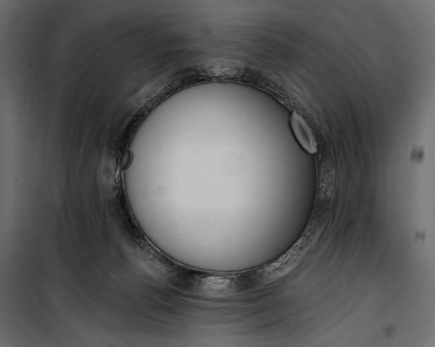 X0000100330176200806191117