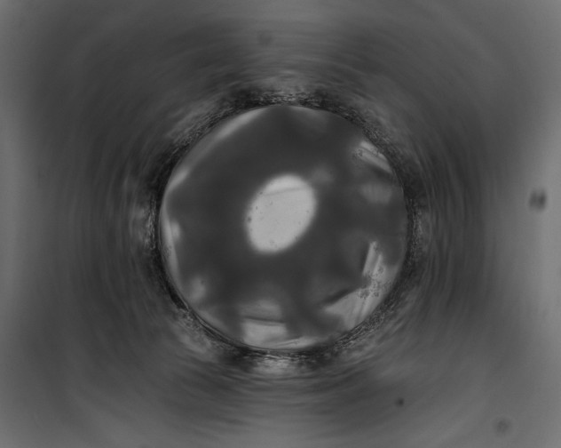 X0000100330177200806191117