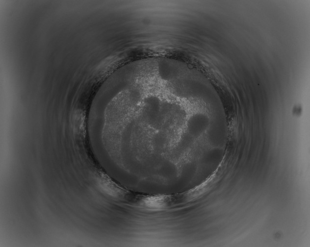 X0000100330178200806191117