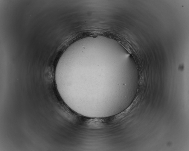 X0000100330179200806191117