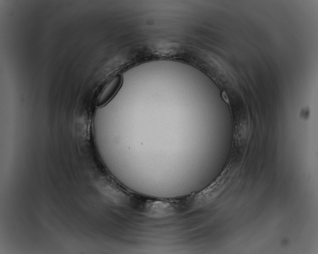 X0000100330180200806191117