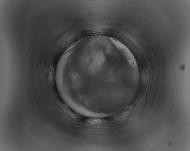 X0000100330181200806191117