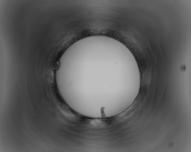 X0000100330183200806191117