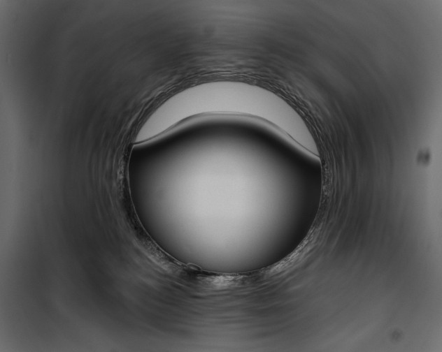 X0000100330184200806191117