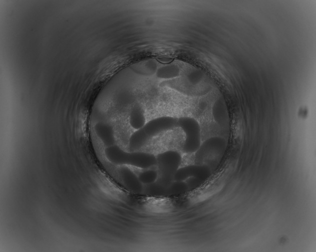 X0000100330185200806191117