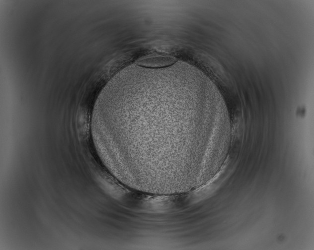 X0000100330186200806191117