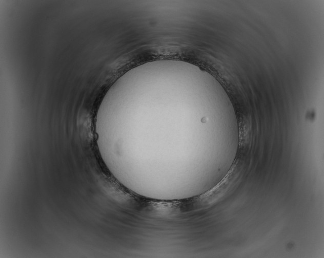 X0000100330187200806191117