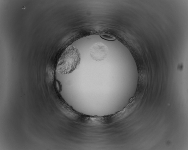 X0000100330188200806191117