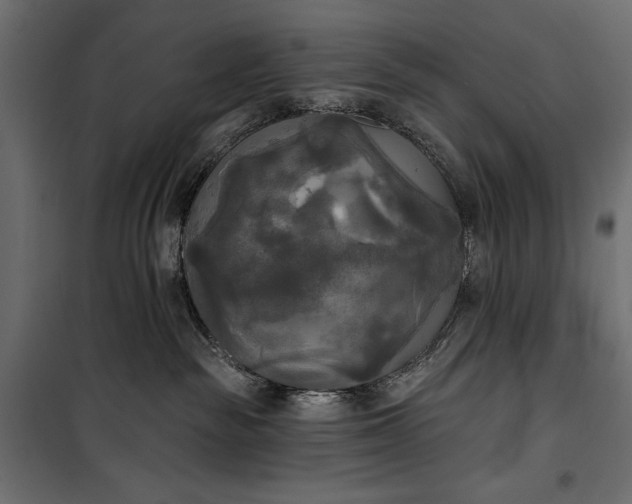 X0000100330189200806191117