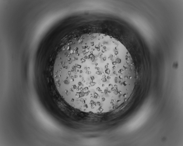 X0000100330190200806191117