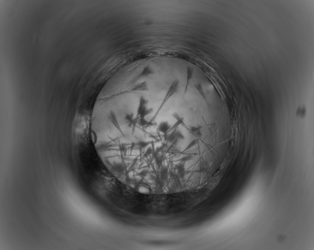 X0000100330191200806191117