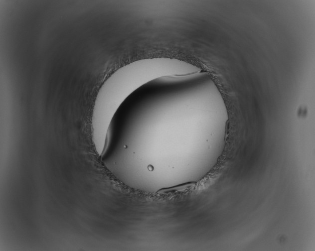 X0000100330192200806191117