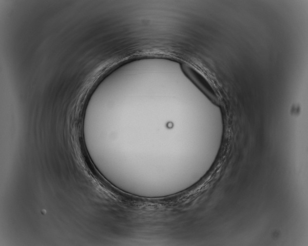 X0000100330193200806191116