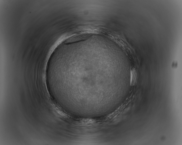 X0000100330195200806191116