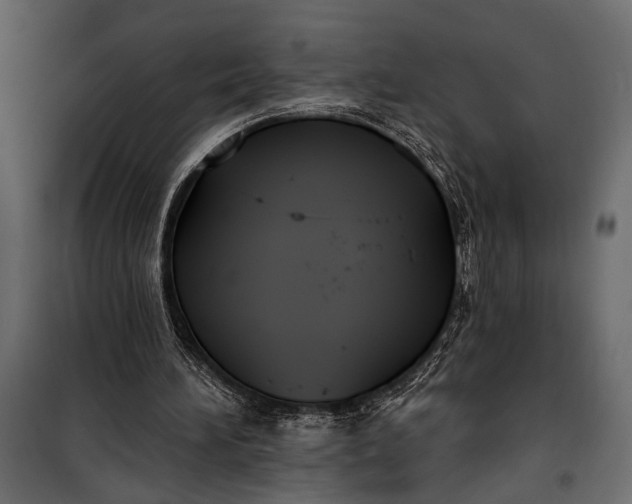 X0000100330196200806191116