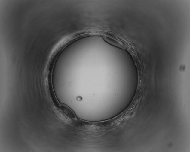 X0000100330197200806191116