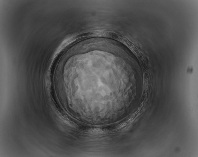 X0000100330198200806191116