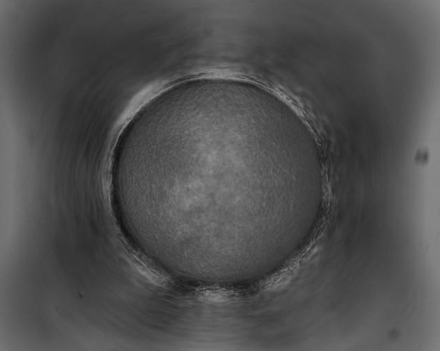 X0000100330199200806191116