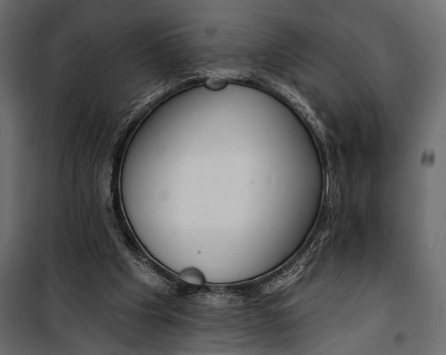 X0000100330201200806191116