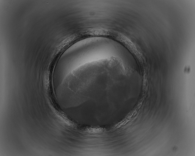 X0000100330202200806191116