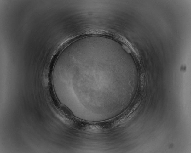 X0000100330203200806191116