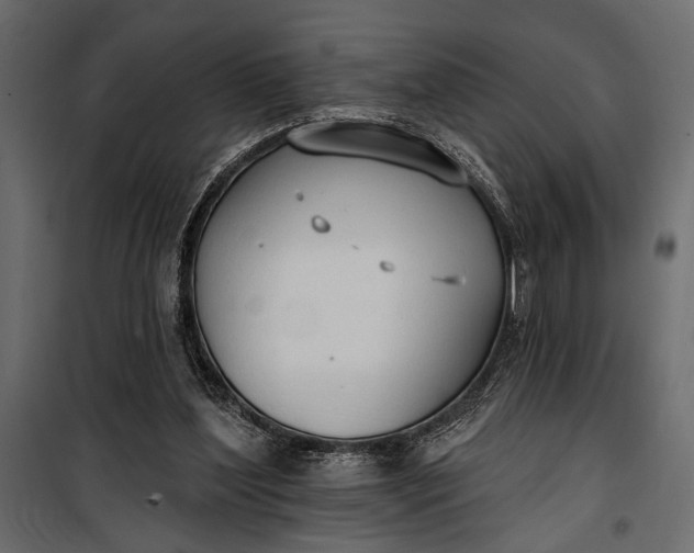 X0000100330204200806191116