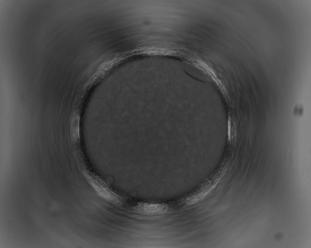 X0000100330205200806191116