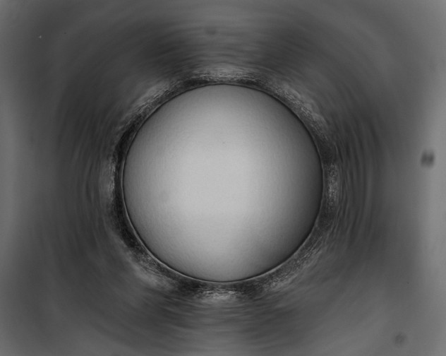 X0000100330206200806191116