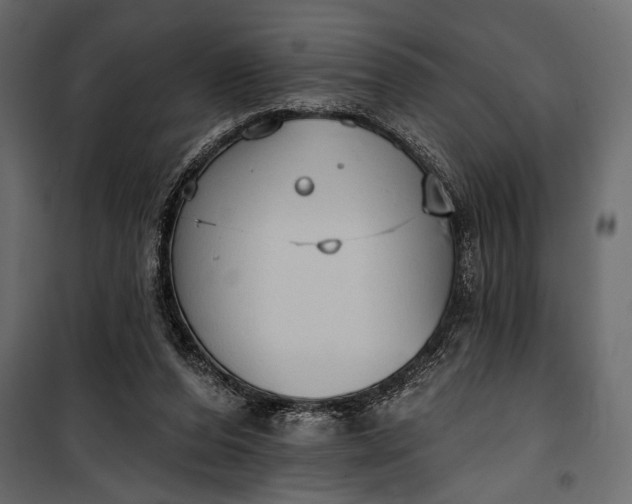 X0000100330208200806191116