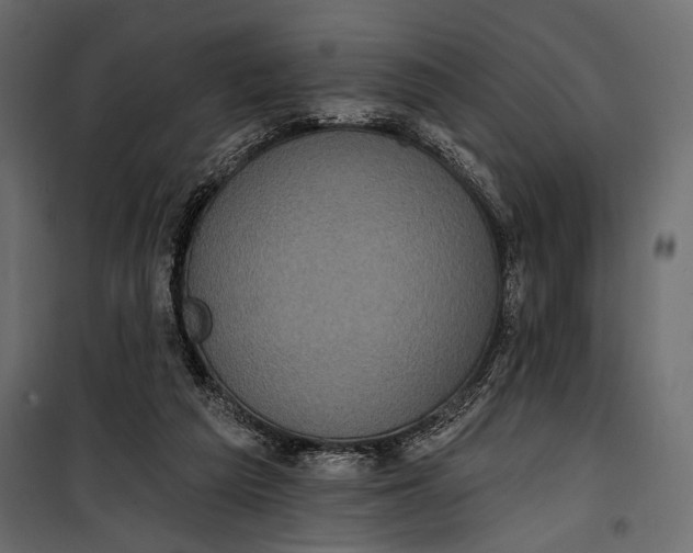 X0000100330209200806191116