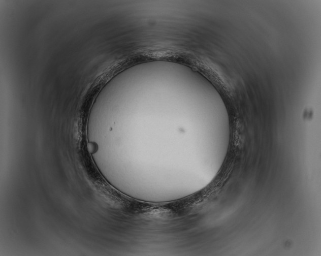 X0000100330210200806191116