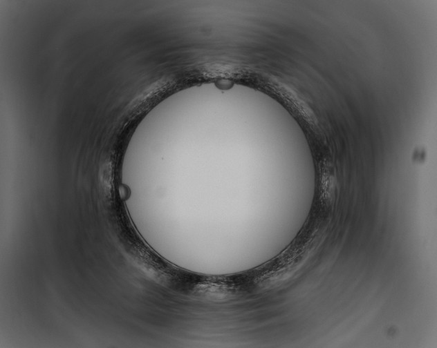 X0000100330211200806191116