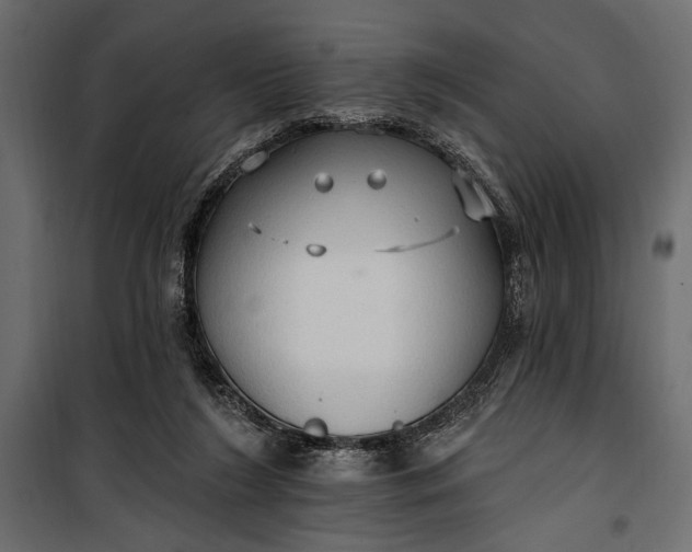 X0000100330212200806191116