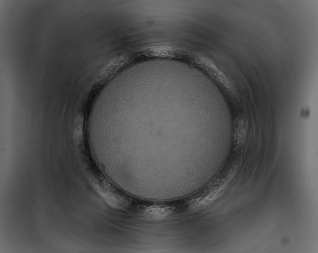 X0000100330213200806191116