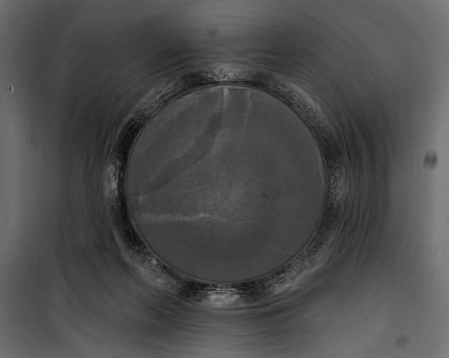 X0000100330214200806191116