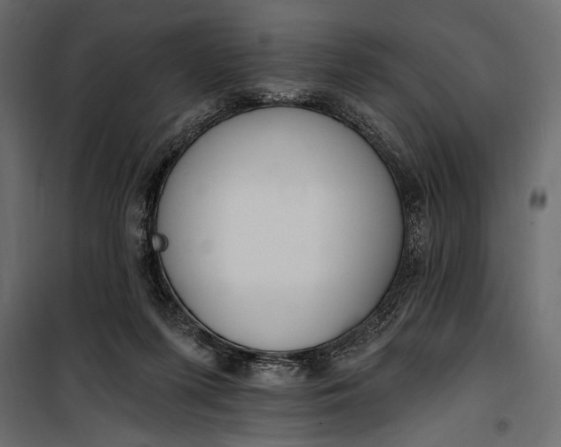 X0000100330215200806191116