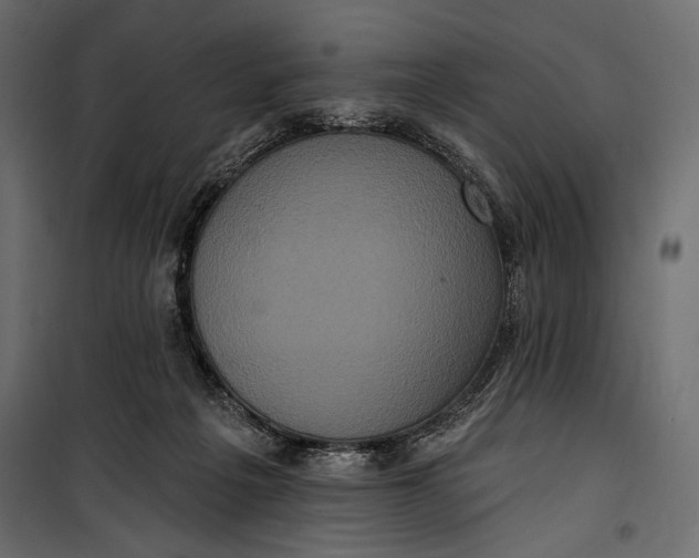 X0000100330217200806191116