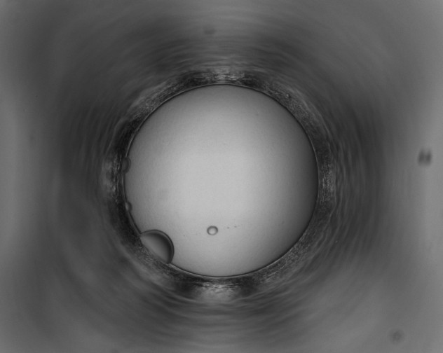 X0000100330218200806191116