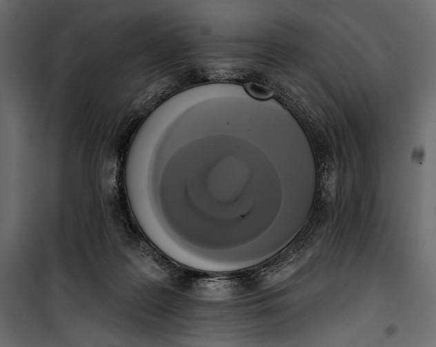 X0000100330219200806191116