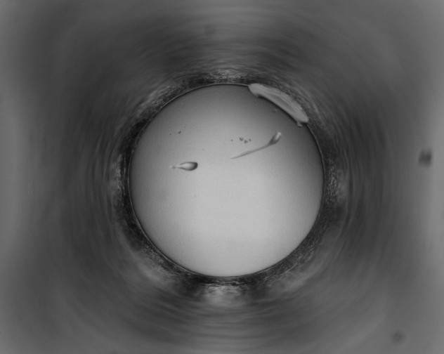 X0000100330220200806191115