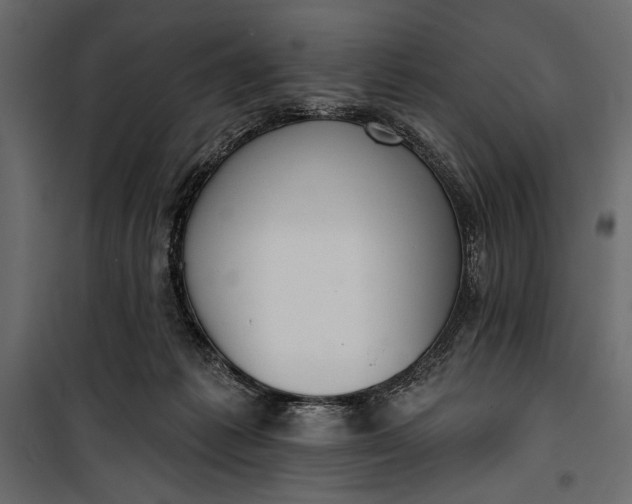 X0000100330221200806191115