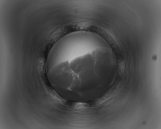 X0000100330222200806191115