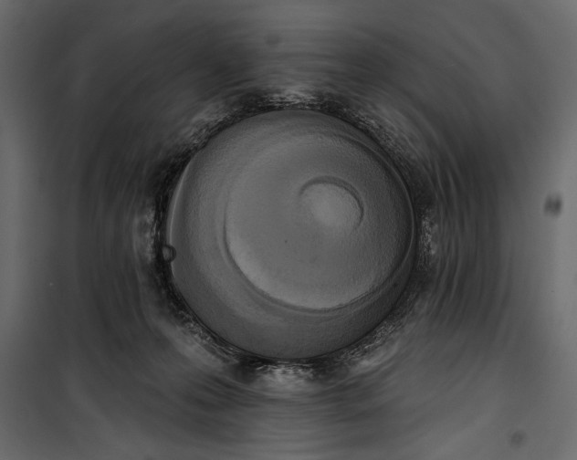 X0000100330223200806191115